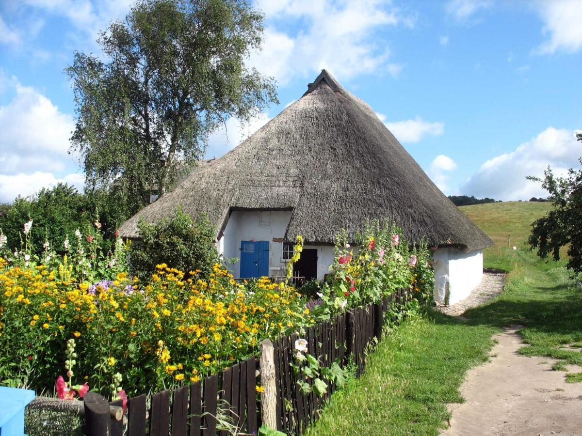 Ferienhaus Zum Boddenstrand Mit Ka Gross Zicker Екстер'єр фото